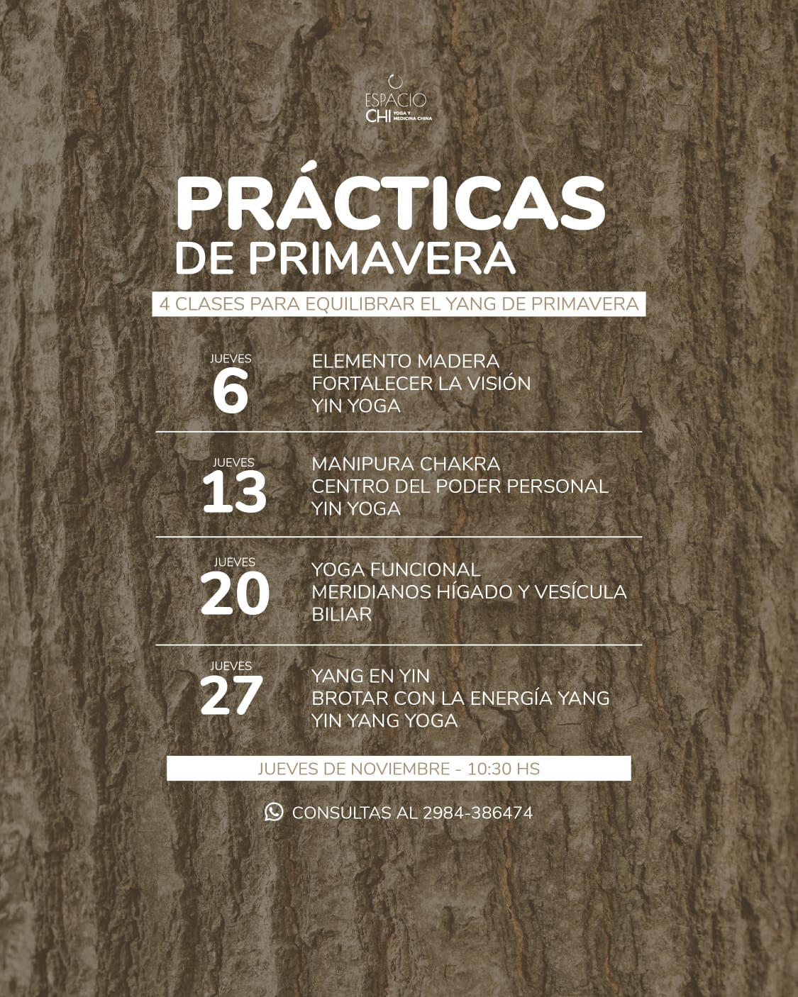 Encuentro estacional - Primavera - Elemento madera